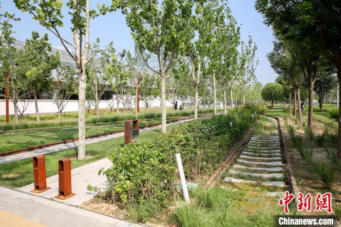 體育博彩：北京今年計劃新增造林綠化1萬畝 打造100條“城市畫廊”