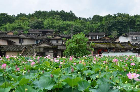 山村生活任逍遥的简单介绍